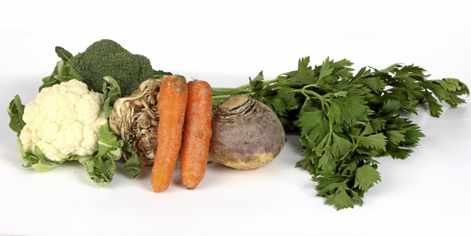 GRØNT: Puré av brokkolli, blomkål, selleri, gulrot og kålrot.