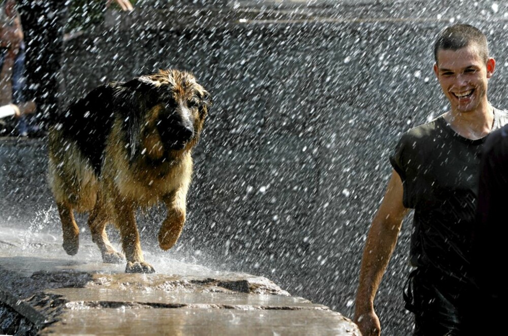 LUKTER BIKKJE: Om det er like lett å sjekke damer med hund i regnvær er noe usikkert.