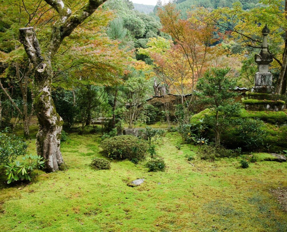 POPULÆRT I JAPANSKE HAGER: - De som liker mose, er de som har japanske hager. I japanske hager er mose en av de viktigste og vakreste bestanddelene, sier hagedesigner Marit Næss Jørgensen.