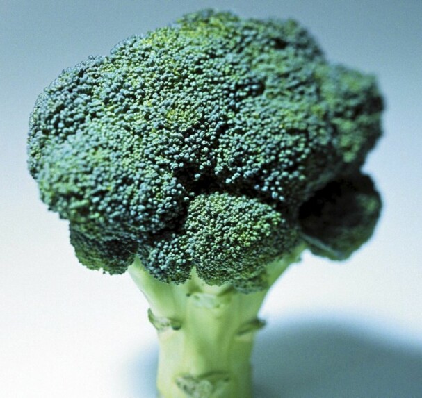 ALLER BEST RÅ: Brokkoli bevarer alle næringsstoffene om du ikke koker den, men spiser den rå. ILLUSTRASJONSFOTO: Colourbox