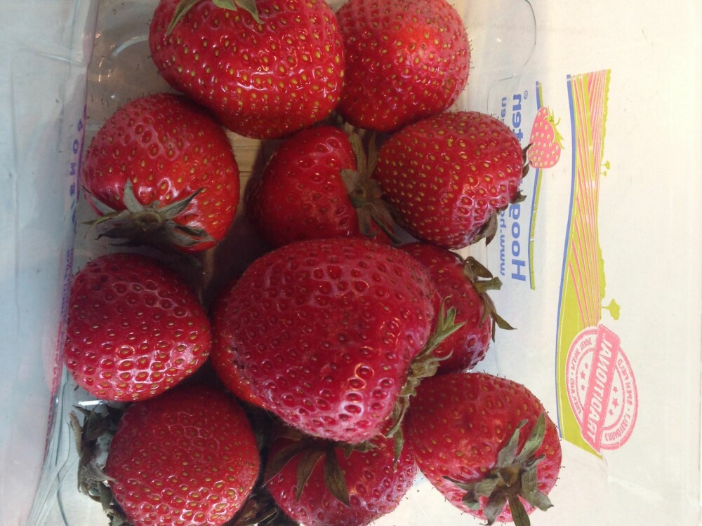 IKKE SKJÆR OPP: Generelt vil frukt og grønnsaker holde seg best når de er hele. FOTO: Jenny Mina Rødahl IKKE SKJÆR OPP: Generelt vil frukt og grønnsaker holde seg best når de er hele. FOTO: Jenny Mina Rødahl