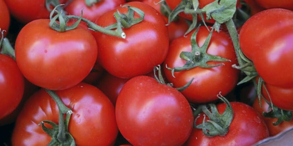KOK TOMATENE: Du bør aller helst koke tomatene. ILLUSTRASJONSFOTO: Colourbox KOK TOMATENE: Du bør aller helst koke tomatene. ILLUSTRASJONSFOTO: Colourbox