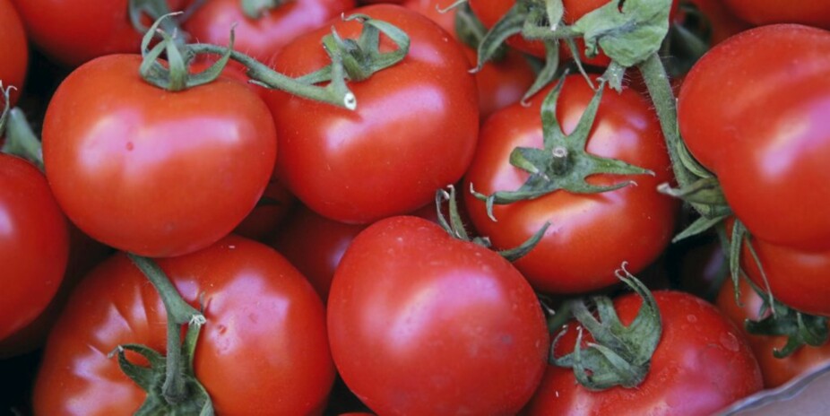 KOK TOMATENE: Du bør aller helst koke tomatene.