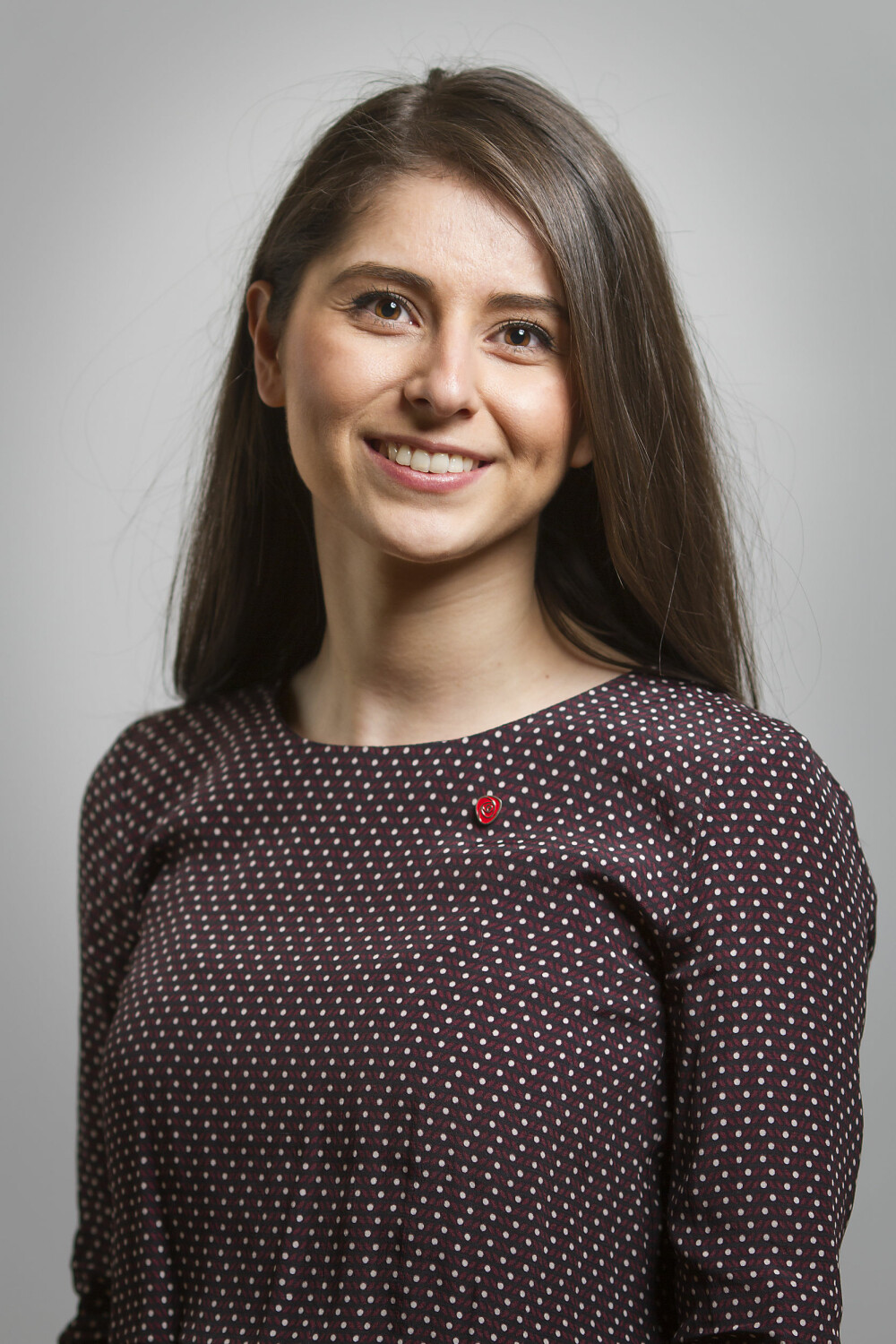 LOZAN BALISANY:  Varaordførerkandidat i Sandefjord