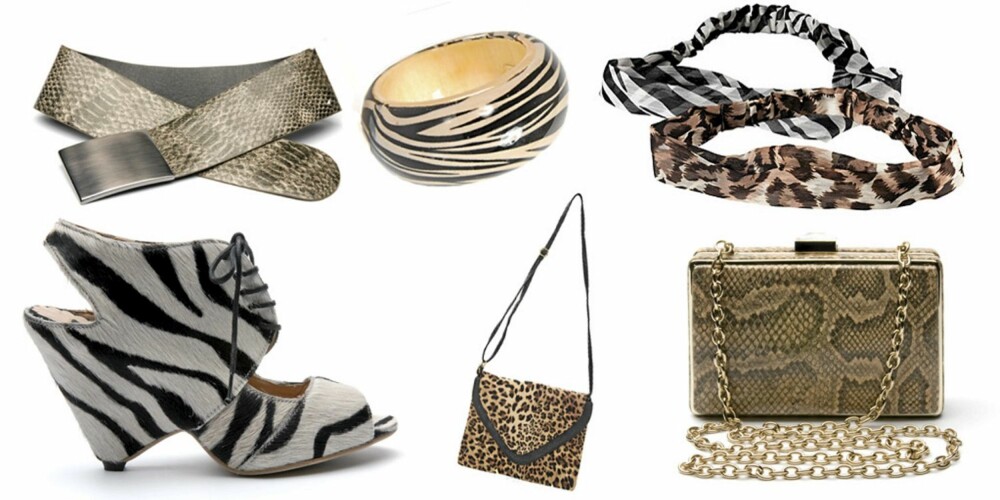 FRA VENSTRE: Krokodillebelte fra Mango (kr 229), zebrasko fra Mango (kr 999), armbånd med zebramønster fra Mango (kr199), leopardveske fra Friis & Co (kr 499), hårbånd med zebra- eller leopardmønster fra H&M (kr 49,50), veske med slangeskinnsmønster fra Mango (kr 449). FRA VENSTRE: Krokodillebelte fra Mango (kr 229), zebrasko fra Mango (kr 999), armbånd med zebramønster fra Mango (kr199), leopardveske fra Friis & Co (kr 499), hårbånd med zebra- eller leopardmønster fra H&M (kr 49,50), veske med slangeskinnsmønster fra Mango (kr 449).