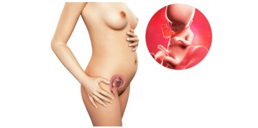 16 Weeks Pregnant: Can You Feel Your Baby Move? 16 Weeks Pregnant: Can You Feel Your Baby Move?