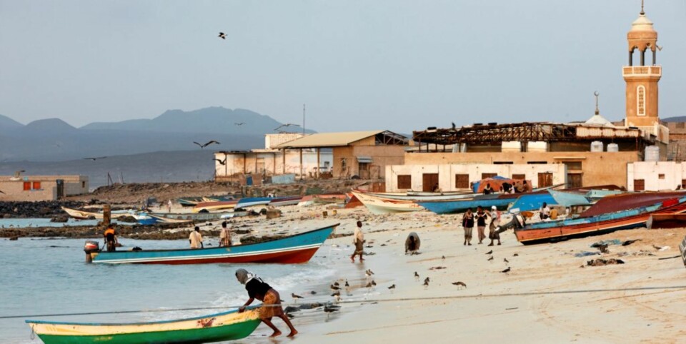 FISKELANDSBY: Bir Ali er en liten fiskelandsby, som har visse hyggelige preg. Fra stranden ses byens moske i bakgrunnen.