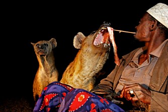 KJÆRLIGHET PÅ PINNE: Hyene er ville - og farlige. Yussuf er stein på khat og egen selvsikkerhet.