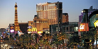 KUNSTIG VERDEN: Las Vegas` titusenstalls luftkjølingsanlegg går på full guffe, hotellene er stappet av spillegale, og gatene er preget av neonlys og falkse soler.