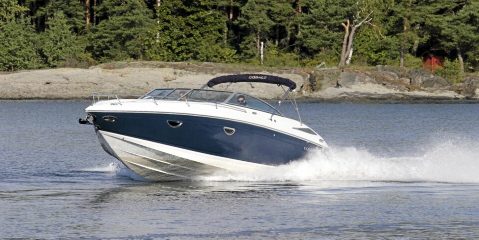 Cobalt 303