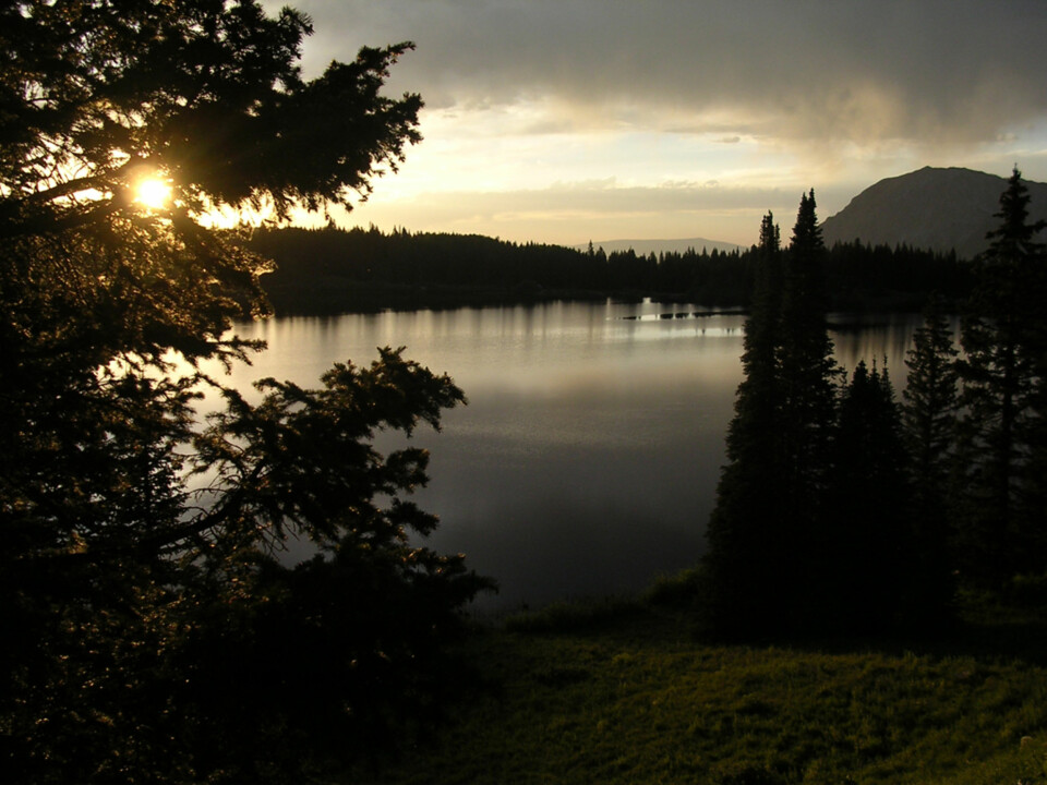 KVELDSSTEMNING: Trærne i skaper en ramme om sjøen, og hindrer samtidig strølys fra solen.