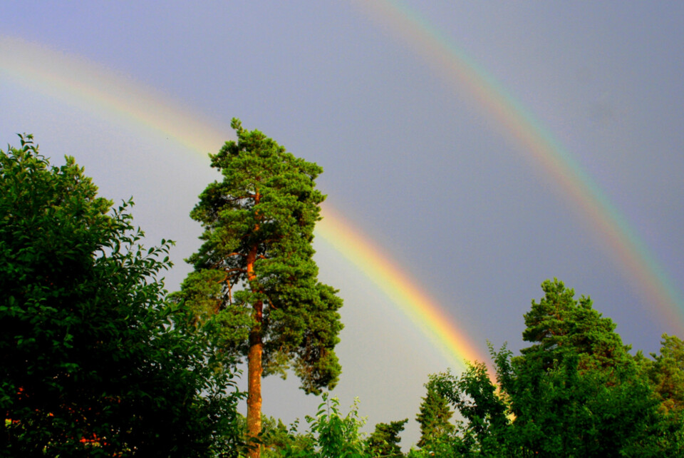 TID FOR SKATTEJAKT: Når man tar bilde av regnbuen, bør man passe på å få med litt av landskapet rundt. La heller ikke regnbuen være i midten av bildet. Ved å undereksponere bildet noe blir himmelen mørkere og fargene tydeligere.