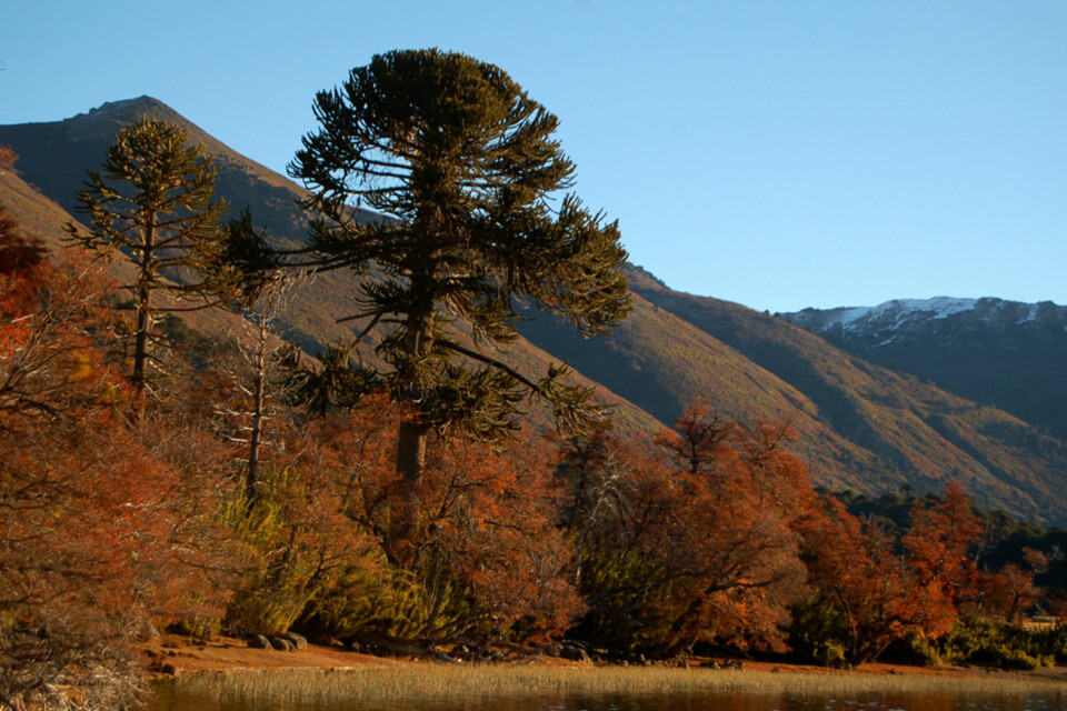 UBERØRT: Det er ingen selvfølge at det vakre landskapet blir stående slik for alltid, så et fotografi kan godt få en historisk verdi i tillegg til det estetiske.