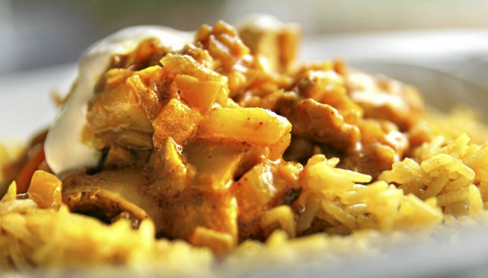 INDISK mat: Dette er en av de store, klassiske rettene fra India, biryani.