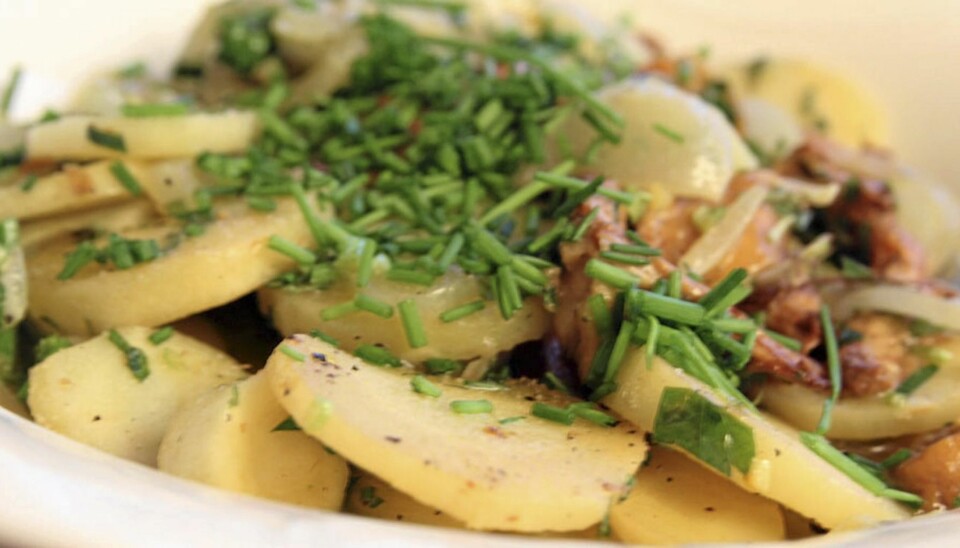 OPPSKRIFT MED PASTINAKK: Er du nysjerrig på pastenakker? Her er en enkel oppskrift.