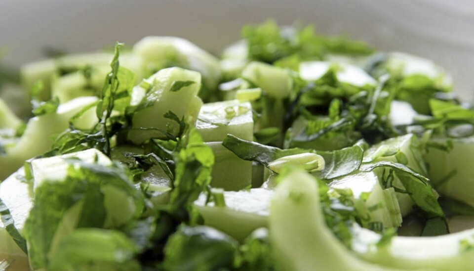 OPPSKRIFT PÅ AGURKSALAT: Slik blir agurksalaten bedre.Mye bedre.