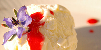 BRINGEBÆRCOULIS: Dessertsausen som gjør is, panna cotta og ostekake enda bedre.