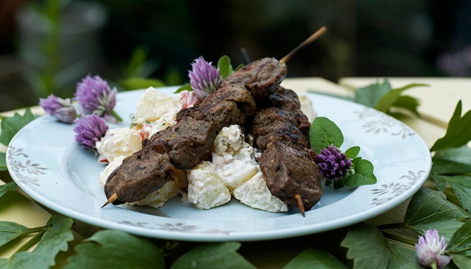Grillspyd med potetsalat