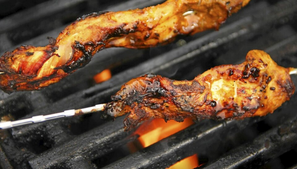 OPPSKRIFT PÅ GRILLSPYD: Dette grillspydet er svært godt krydret.