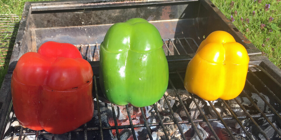GRILLE PAPRIKA: Det er en fordel om grillen har lokk, men det er faktisk ikke helt nødvendig.