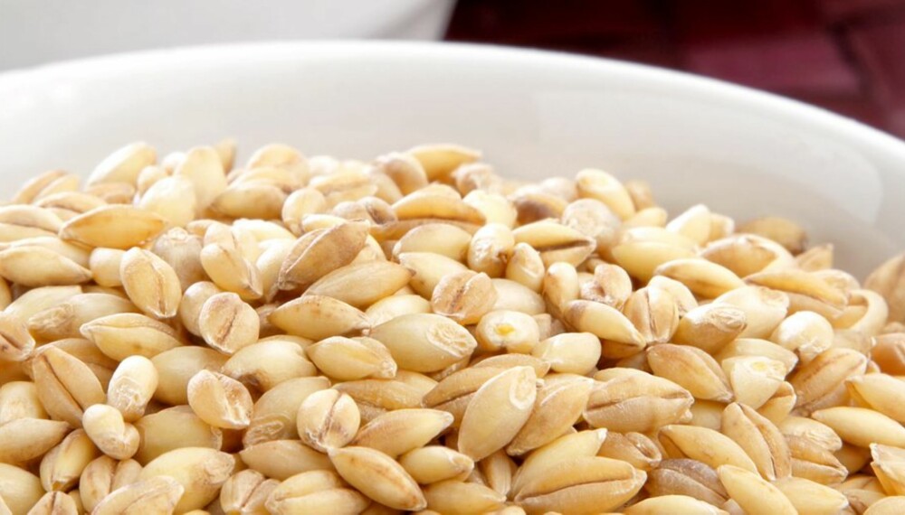 BYGG: Næringsrike korn som kan brukes i brød og i matlaging.