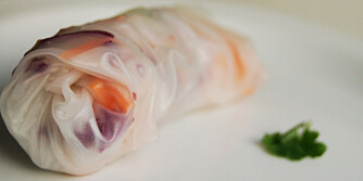 SASHIMIRULL SASHIMIRULL