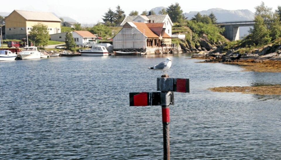 VALG: Hvor skal du gå her? Prøv vår quiz og finn ut. Dette merket finner du Korssund i Sogn og Fjordane, et kjent sted i Snorre Sturlason si bok Heimskringla.
