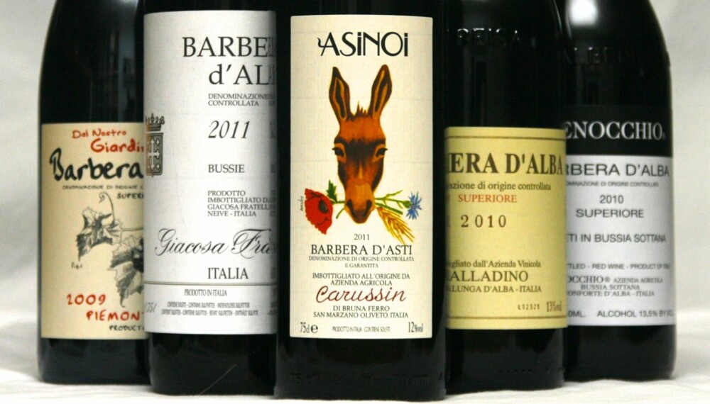 BARBERA: Viner laget på barbera-druen er veldig fleksible i matveien.