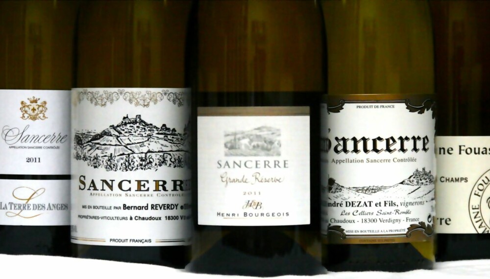SOMMERLIGE: Sancerre er friske og fruktige hvitviner som passer til årstiden. SOMMERLIGE: Sancerre er friske og fruktige hvitviner som passer til årstiden.