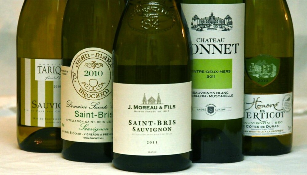 GRØNNE VINER: Sauvignon blanc gir ofte vinene laget på denne druen et "grønt" preg.