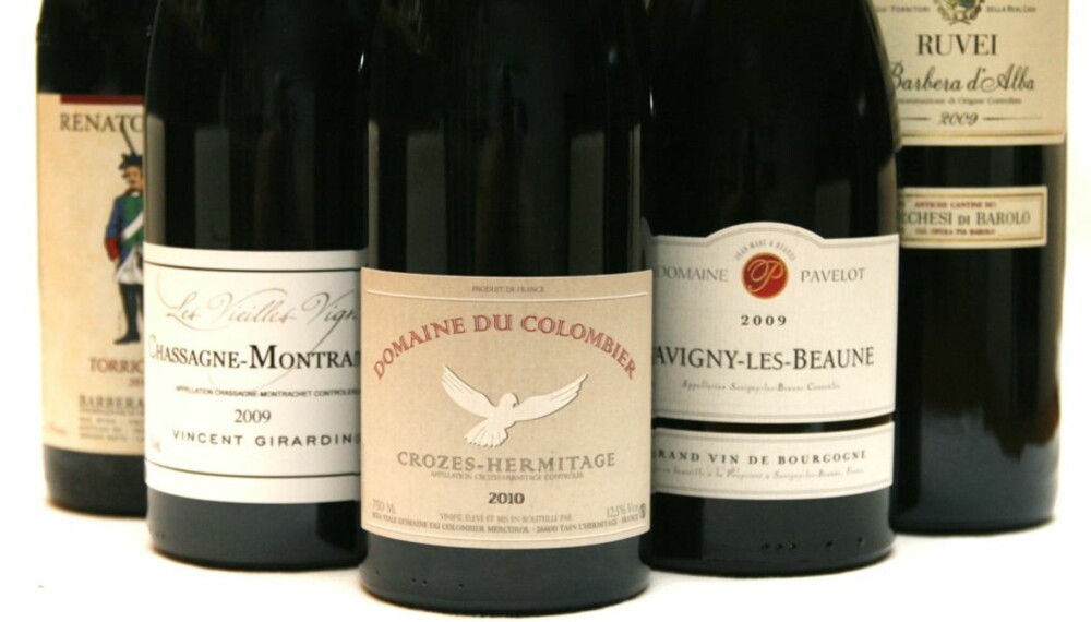 ANDEVINER: Viner fra både Nord-Rhône, Burgund og Piemonte passer til and.