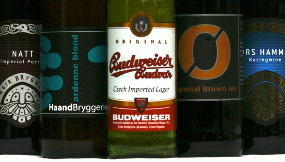 GODE ØL: Fem øl i ganske så forskjellige stilarter.
