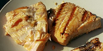 UJEVN VARME: Disse to stykkene er grillet like lenge, men på forskjellige deler av grillflaten. UJEVN VARME: Disse to stykkene er grillet like lenge, men på forskjellige deler av grillflaten.