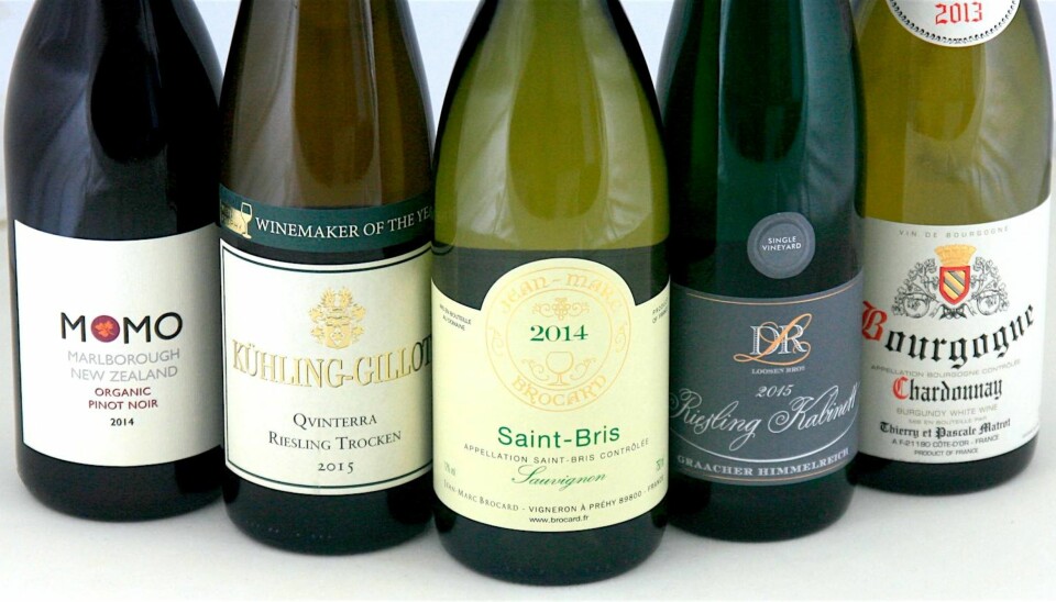 KRABBEVINER: Fire hvitviner og én rødvin.