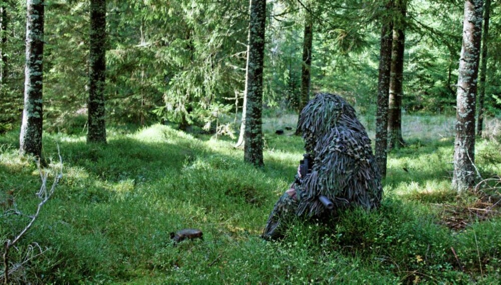 BLI EN STUBBE: Har du noen gang ønsket å bli en usynlig stubbe i skogen? Med rett kamuflasje kan du komme farlig nær.