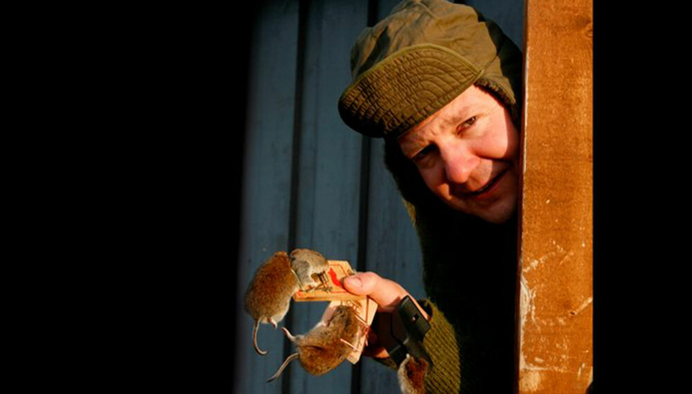 Alle fellene i testen er kjøpt i butikk eller på nettet høsten 2007, og vi har brukt to eksemplarer av hver modell. Fangsten har foregått i garasjer, uthus og utendørs, og plasseringen av fellene har gått på rundgang. Alle fellene i testen er kjøpt i butikk eller på nettet høsten 2007, og vi har brukt to eksemplarer av hver modell. Fangsten har foregått i garasjer, uthus og utendørs, og plasseringen av fellene har gått på rundgang.