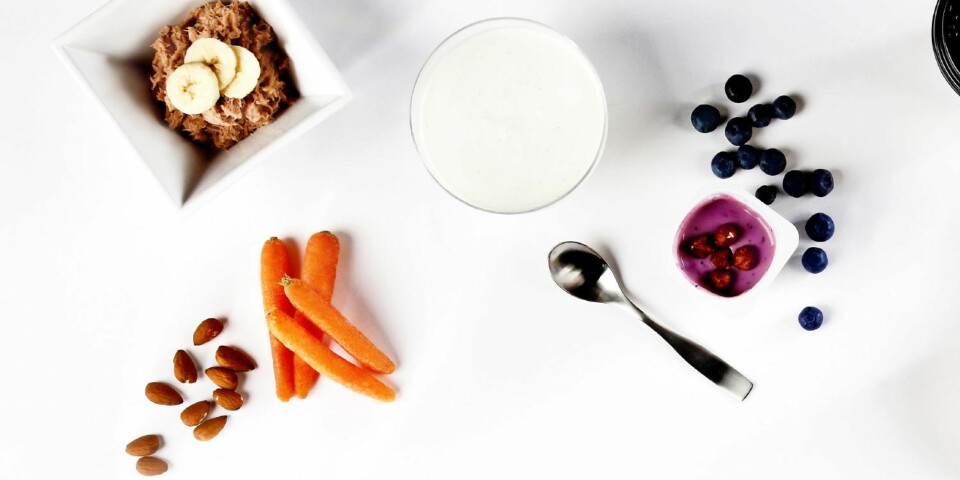 MELLOMMÅLTIDER: Tunfiskblanding, gulrot, nøtter, vaniljekesam, yoghurt og bær.