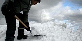 SNØMÅKING: Riktig redskap og riktig ergometisk stilling er viktig når man skal håndtere tung snø. SNØMÅKING: Riktig redskap og riktig ergometisk stilling er viktig når man skal håndtere tung snø.