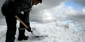 SNØMÅKING: Riktig redskap og riktig ergometisk stilling er viktig når man skal håndtere tung snø.