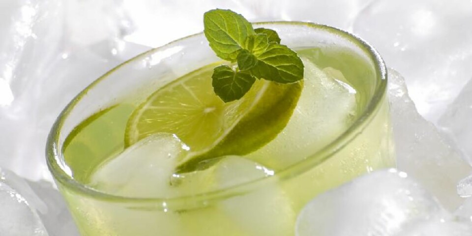 MOJITO: Lime og mynte gjør mojito både frisk og aromatisk. Foto: Crestock.