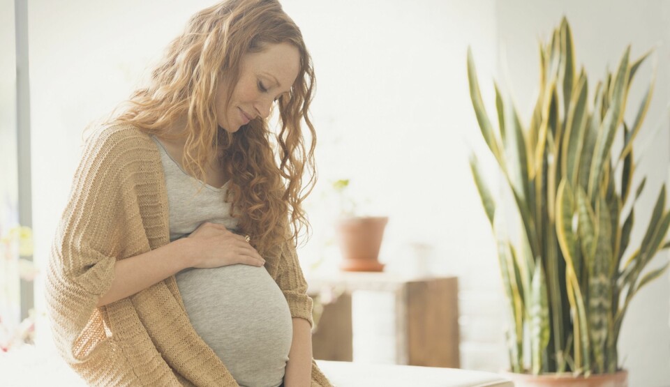 GRAVID ETTER ABORT: Å bli gravid igjen etter spontanabort eller medisinsk abort skal i utgangspunktet ikke være noe problem. FOTO: Getty Images. GRAVID ETTER ABORT: Å bli gravid igjen etter spontanabort eller medisinsk abort skal i utgangspunktet ikke være noe problem. FOTO: Getty Images.
