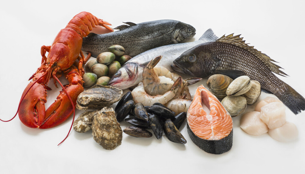 FISKEALLERGI OG SKALLDYRALLERGI: Allergi mot fisk og skalldyr er blant de mest hissige matallergiene. Foto: Getty Images