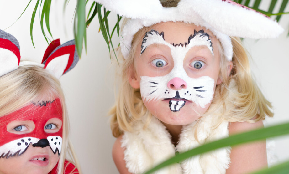 ANSIKTSMALING: Hva med å male barnet med ansiktsmaling, og gjøre det om til en kanin eller en rev? Barn kan ha det mye gøy med ansiktsmaling. FOTO: Tanja Reine.