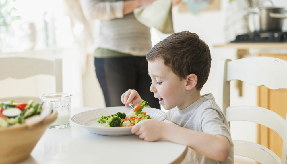 TEST AV MATKASSE: Tre småbarnsfamilier testet matkasser fra Godt Levert, Adams Matkasse og Kolonihagen. Hvilken kom best ut? FOTO: Getty Images. TEST AV MATKASSE: Tre småbarnsfamilier testet matkasser fra Godt Levert, Adams Matkasse og Kolonihagen. Hvilken kom best ut? FOTO: Getty Images.