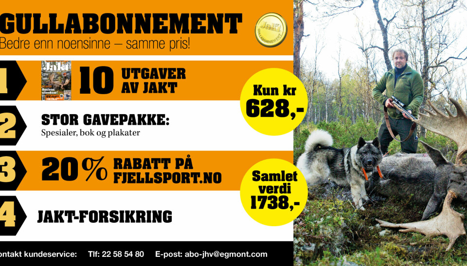 Gullabonnement – bedre enn noensinne!