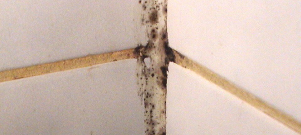 Slik får du det rent mellom flisene