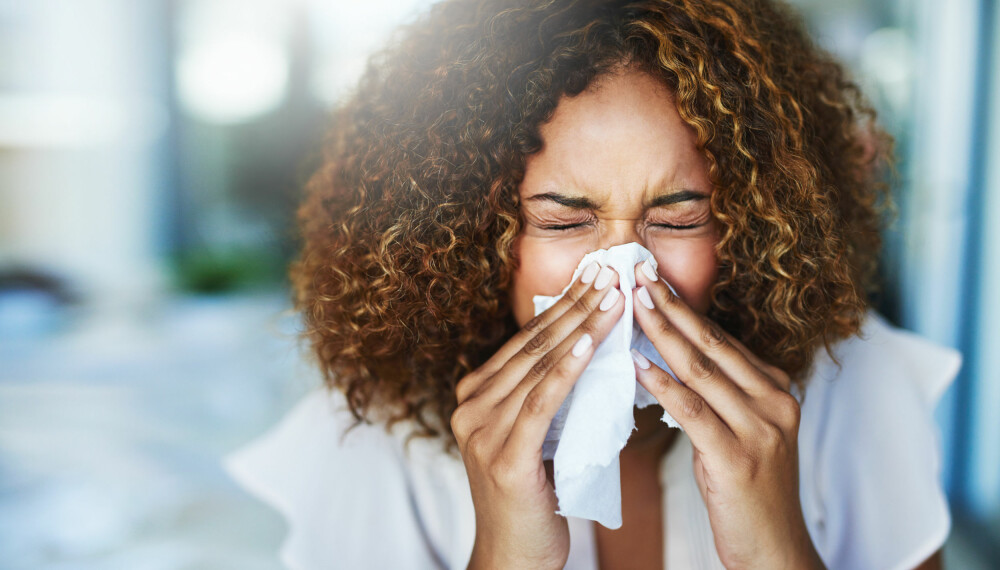 POLLENALLERGI: Rennende eller tett nese, uttalt tretthet, pusteproblemer, samt røde, kløende og rennende øyne er de vanligste symptomene på pollenallergi. Foto: Gettyimages.com.