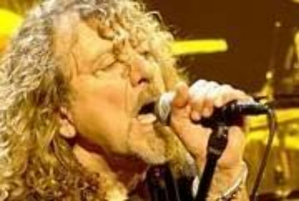 - Har Led Zeppelin hatt gjenforening?