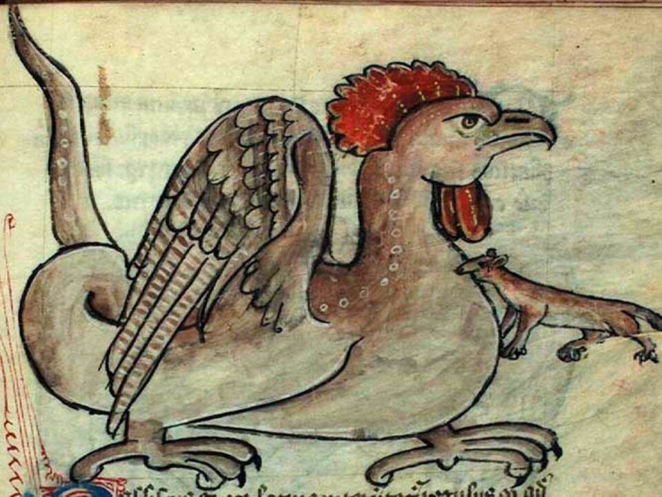 Dyr dømt for drap