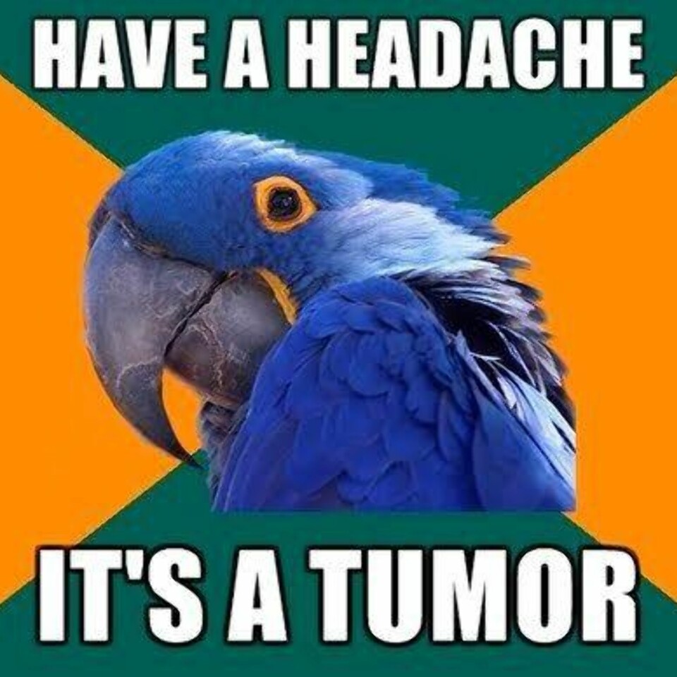 Har du fått med deg dette?